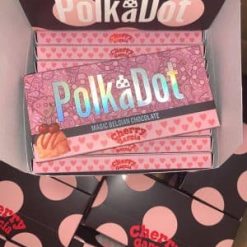 polkadot-flavors-v0-7orr7wq1h5z91-300x400